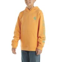 Carhartt CA6549 - Long-Sleeve Graphic Sweatshirt - Boys