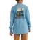 Coronet Blue Carhartt CA6593 Back View - Coronet Blue