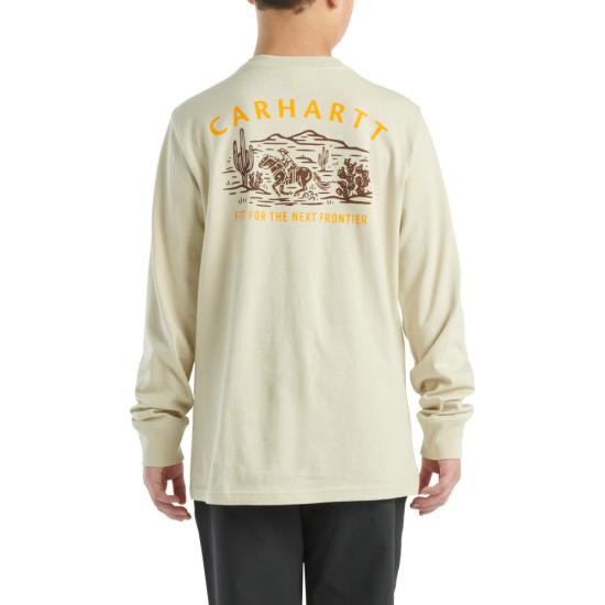 Sand Carhartt CA6613 Back View