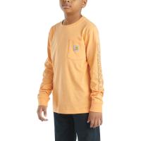 Carhartt CA6619 - Long-Sleeve Graphic Pocket T-Shirt