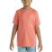 Dubarry Carhartt CA6696 Front View Dubarry Carhartt CA6696 Front View - Dubarry