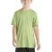 Tendril Carhartt CA6696 Front View - Tendril