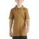 Carhartt Brown Carhartt CA6698 Front View - Carhartt Brown