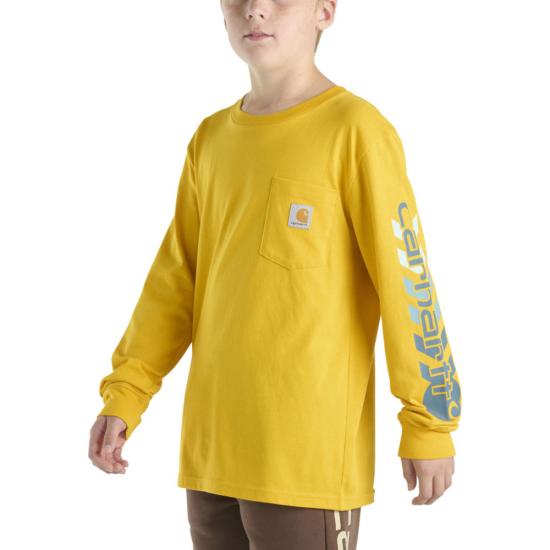 Old Gold Carhartt CA6699 Front View