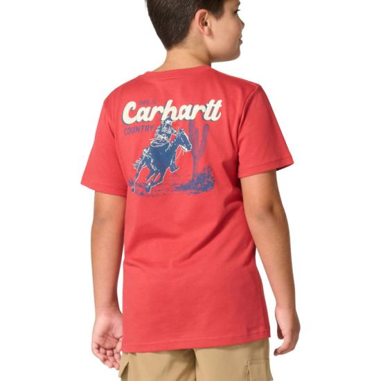 Cardinal Carhartt CA6793 Back View
