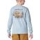 Slate Carhartt CA6901 Back View - Slate