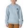 Slate Carhartt CA6908 Front View - Slate
