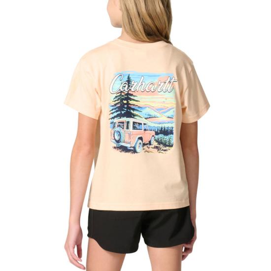 Bleached Apricot Carhartt CA7172 Back View