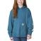 Hydro Wash Carhartt CA7206 Front View - Hydro Wash