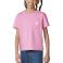 Cashmere Rose Carhartt CA7246 - Cashmere Rose