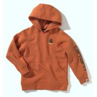 Carhartt CA8145 - Graphic Fleece Hooded Sweatshirt - Boys