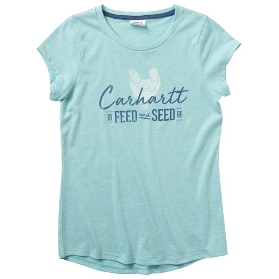 Blue Turquoise Heather Carhartt CA9755 Front View