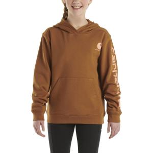 Carhartt Brown Carhartt CA9983 Front View