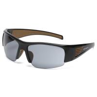 Carhartt CHB520DTCSC - Thunder Bay - Gray Anti-Fog Lens with Black Frame