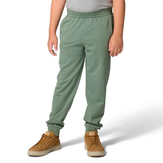 Laurel Wreath Wash Carhartt CK8459 Front View