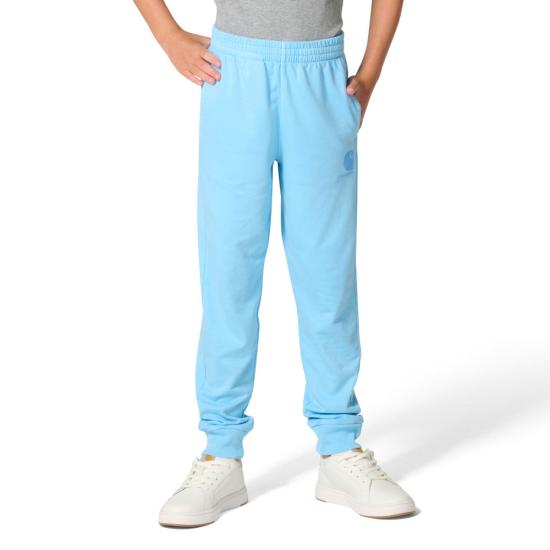 Baltic Sea Wash Carhartt CK9495 Front View