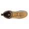 CAT P51099 - 