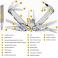 Leatherman LE1023 - 