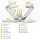 Stainless Steel Leatherman 832930 - Stainless Steel