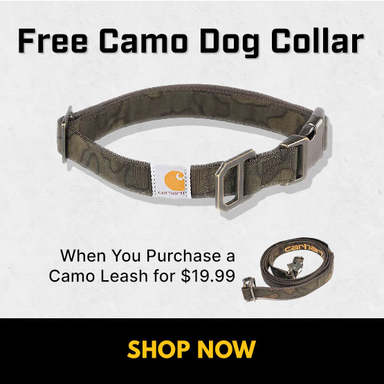 Free Dog Collar